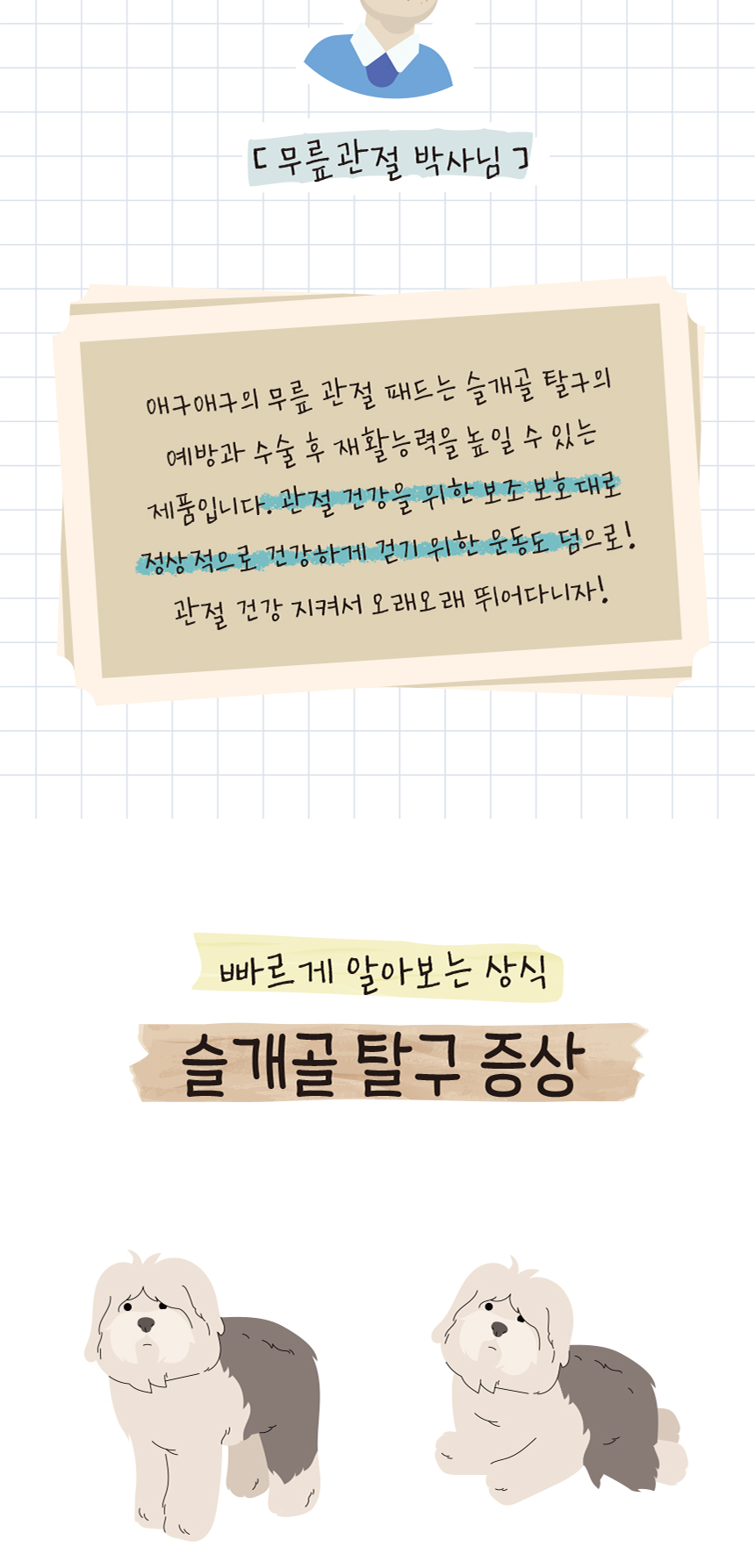 양다리 슬개골 보호대 무릎 관절 보호대 강아지관절보호대 강아지다리보호대 애견다리보호대 상세 이미지 3